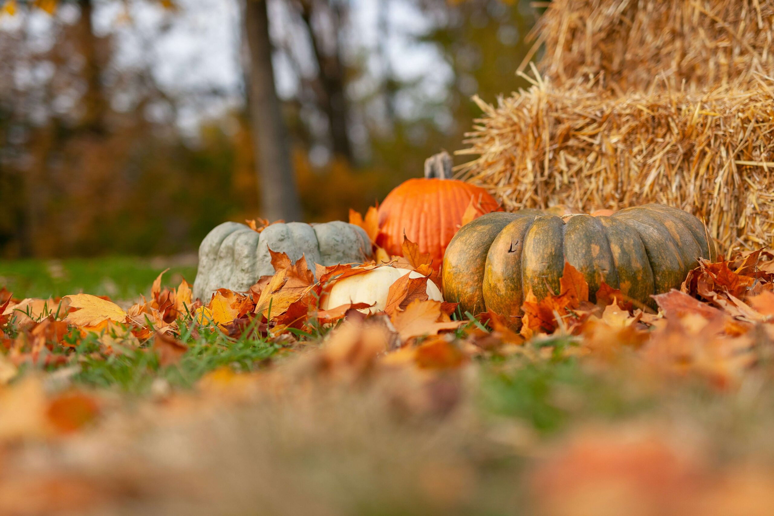 October Update
